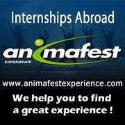 Animafest Experience. Стажировки в Испании